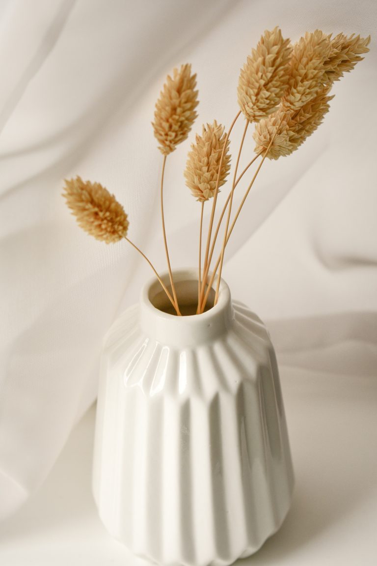 The Art of Vase Selection: Elevating Your Floral Arrangements